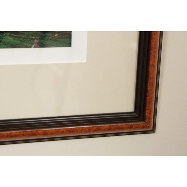 1990s "Sheepscape" Ireland Landscape Photography Print by John & Debra Scanlan For Sale In Philadelphia - Image 6 of 13