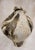 Experience the unique beauty of the Woodland Organic Moon Shape Vessel at The Shine Studios, where organic modern with...