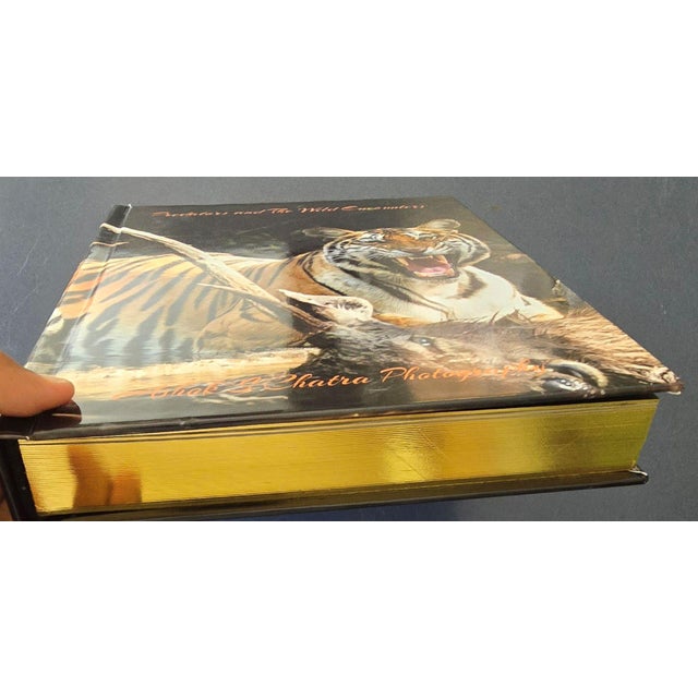 Photography Predators & the Wild Encounters Coffee Table Album For Sale - Image 7 of 17