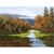 Sheryl Knight Leaves of Gold oil painting. This Sheryl Knight painting comes framed as shown. Dimensions 15"H X 20"W About...