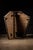 Early 20th Century Antique Wurlitzer Pedal Harp Case For Sale - Image 5 of 9