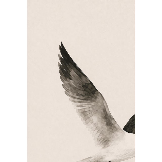 Coastal Seabird Study, Minimalist Nautical Art Print, 24″ × 36″ Reproduction For Sale In Buffalo - Image 6 of 10