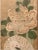Antique Chinese Hand Painted Panel Screens, a Pair For Sale In Tampa - Image 6 of 13