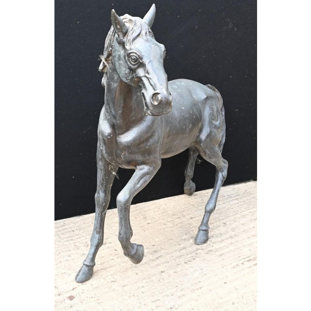Italian Outdoor Horse Statue in Bronze For Sale - Image 5 of 10