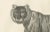 Majestic Striped or Royal Tiger, 1836, Lithograph For Sale - Image 4 of 10