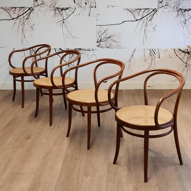 No. 209 Armchairs in Bentwood and Rattan from Ligna, 1970s, Set of 4 For Sale - Image 13 of 13
