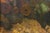 Winter Cord by Brad Davis | Oil Painting of stacked logs and forest floor textures For Sale