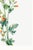 Scarlet Globe Mallow, Vintage Botanical Art Print Reproduction by Mary Vaux Walcott, 40" X 60" For Sale - Image 9 of 9