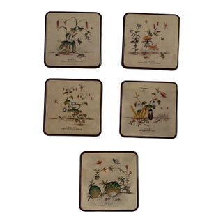 Fruit and Vegetable Printed Coaster Set For Sale