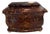 Early 20th Century English Faux Tortoise Shell Tea Caddy For Sale