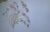 Flower Sculpture from Curis Jeré, 1970s For Sale - Image 11 of 13
