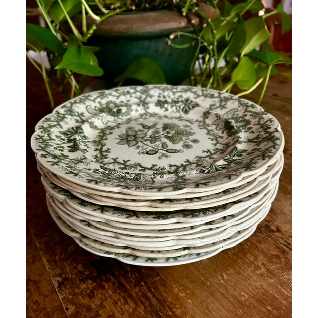 Antique Wedgewood 'Coral Border' Green Transferware 10" Dinner Plates - Set of 12 For Sale - Image 13 of 14