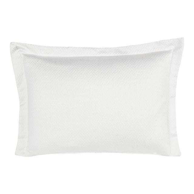 Tagami Cotton Standard Sham, Pearl For Sale