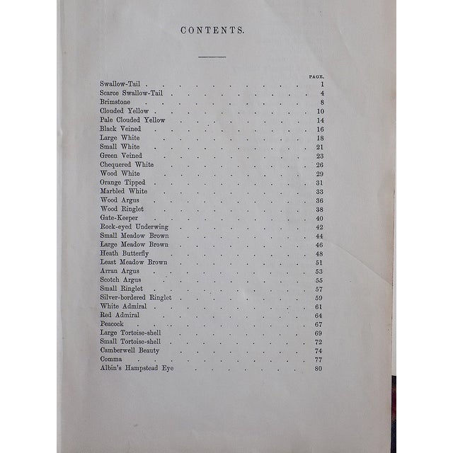 Antique 19th Century Hand Colored Butterfly Lithographs - Set of 10 For Sale - Image 9 of 12