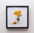 Blooming Days II features a vibrant arrangement of yellow flowers in a clear glass jar, capturing the essence of a sunlit...