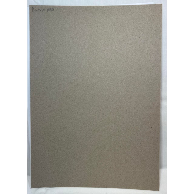 Antique Hand Tinted Bird Print From England Featuring a Brown & Tan Grasshopper Warbler - Circa 1888 For Sale - Image 11 of 11