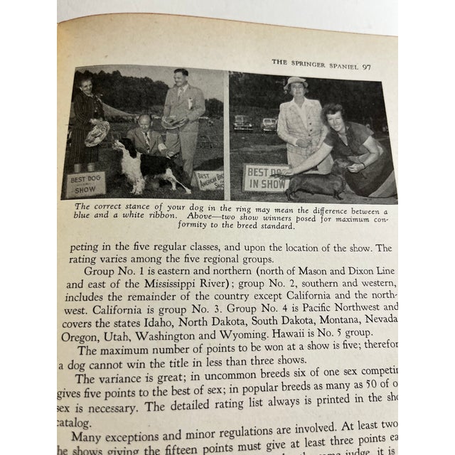 1951 the Springer Spaniel by Maxwell Riddle Book | Chairish