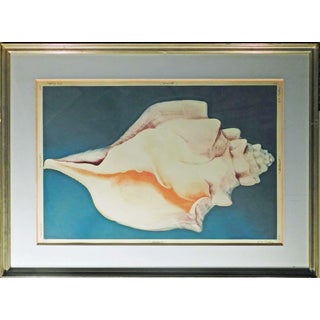 G H Rothe "Mollusk" Signed & Numbered Mezzotint Fine Art Print, Sea Shell Framed For Sale