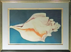 G H Rothe "Mollusk" Signed & Numbered Mezzotint Fine Art Print, Sea Shell Framed
