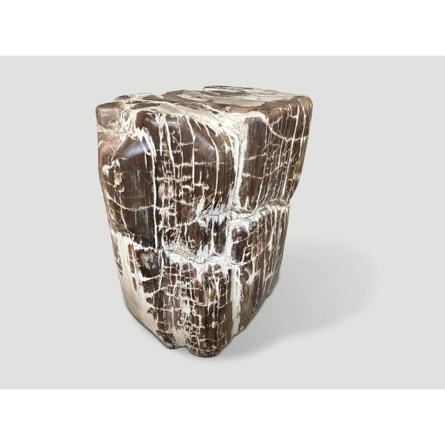 Beautiful contrasting tones and textures on this ancient petrified wood side table. It’s fascinating how Mother Nature...