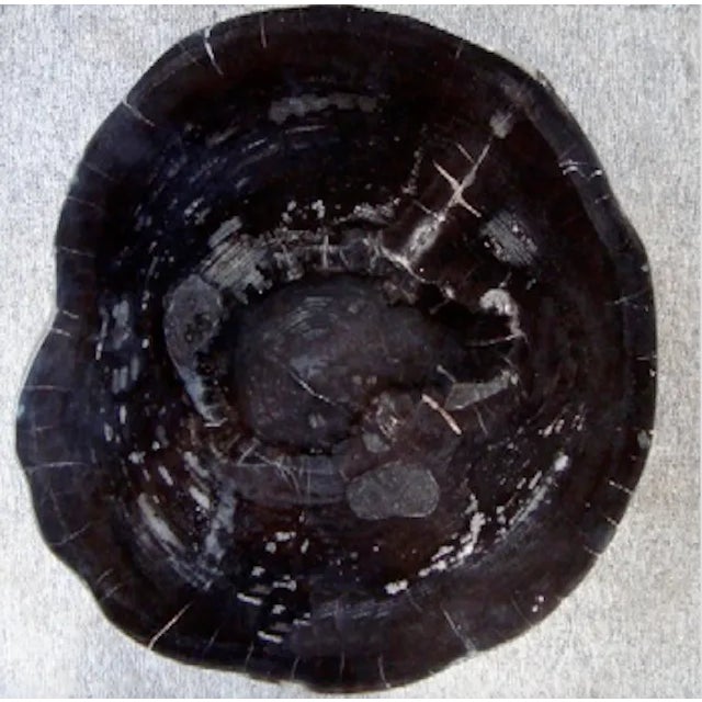 Modern Organic Petrified Wood Stump #525 (Mahogany) - Supelllex For Sale - Image 3 of 4