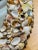 Palm Beach Seashell Encrusted Round Mirror Circa 1970s For Sale - Image 9 of 9