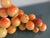 Boho Chic Mid Century Italian Alabaster Grape Cluster For Sale - Image 3 of 9