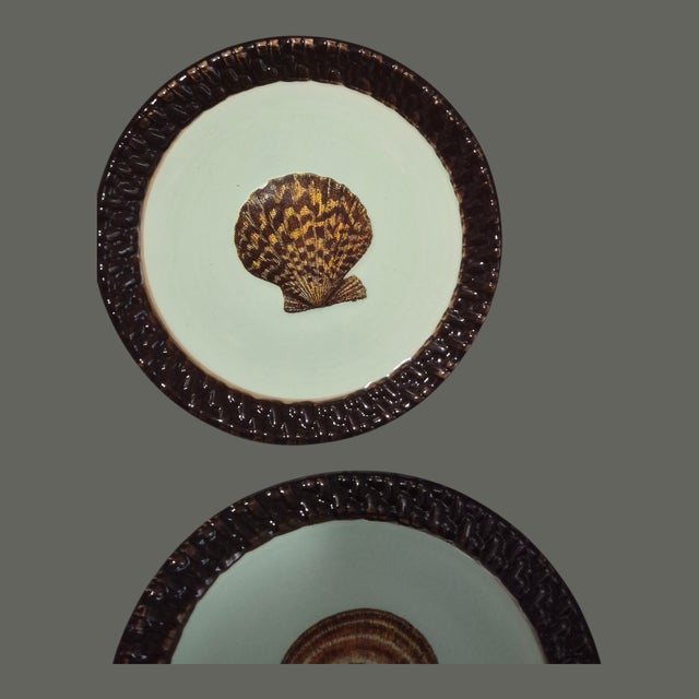 Late 20th Century Coastal Small Sea Shell Mud-Pie Fiji Tidbit Dishes 5'' Diameter - Set of 4 For Sale - Image 6 of 9