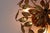 Gold Hollywood Regency Gilt Flush Mount with Branches and Leaves, 1970s For Sale - Image 8 of 17