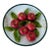 5" Christine Viennet French Trompe L’Oeil Porcelain Star Apple Plate For Sale