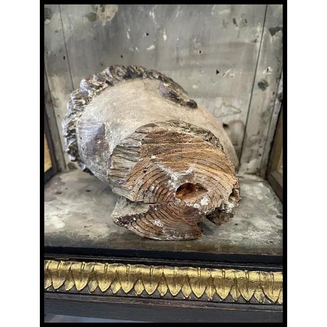 Saint Anthony of Padua Head, Portugal, 18th Century For Sale - Image 16 of 16