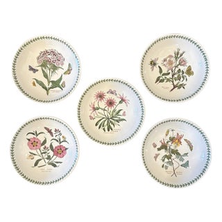 Portmeirion Botanic Garden Low Rim Soup / Pasta Bowls Floral / Flower / Botanical, Circa 1970, a Set of 5 For Sale