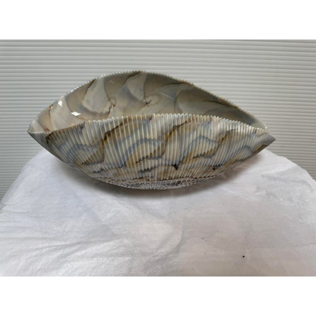 Murano Glass Cartoccio Seashell Centerpiece Bowl For Sale - Image 10 of 12