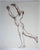 Late 20th century brown chalk on paper study drawing of male nude dancing. Unsigned. Unframed, some smudging, small edge...