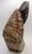 1950s Hand-Carved Shona Tribe Serpentine Stone Abstract Sculpture W. Sachiti For Sale - Image 4 of 12