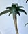 Pair Patinated Tole Metal Palm Tree 5 Arm Candlestick Holders For Sale - Image 10 of 15