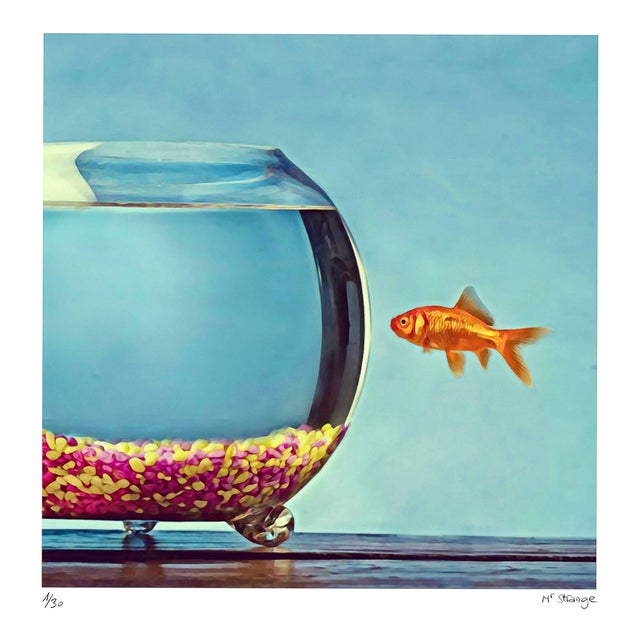 Mr Strange, The Goldfish, 2021, Silkscreen Print For Sale