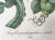 Antique French Botanical Lithograph Print Passion Fruit Flower Paris C.1860 For Sale In New York - Image 6 of 7
