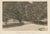 Avenue of Trees, 1890s, Paper For Sale - Image 3 of 12
