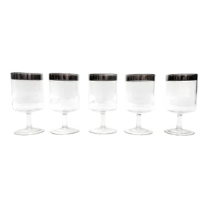 Mid-Century Modern Dorothy Thorpe Silver Rimmed Large Glass Goblets - Set of 5
