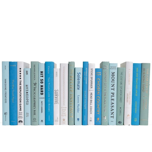 Transitional Decorative Books - Ocean Books - Blue Books For Sale - Image 3 of 3