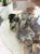Vintage 1970s Burlwood Driftwood Sculptural Glass Top Coffee Table For Sale - Image 9 of 11