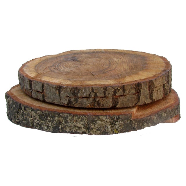 Late 20th Century Organic Farmhouse Chic Wood Plateaus, Pair For Sale - Image 5 of 5