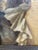 Textile 19th Century Portrait Painting of Emily Gilbert- Attributed to Philip Boileau For Sale - Image 7 of 12