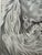 Illustration Original Signed Graphite Illustration of English Setter Portrait, 12.5 × 10 In. For Sale - Image 3 of 5