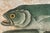Sculpture Materials Mark Catesby Engraving, "Red Hind and Skipjack Tuna" For Sale - Image 7 of 11
