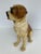 1940s Large Ceramic Folk Art Figurine of St Bernard Dog For Sale In Monterey, CA - Image 6 of 12