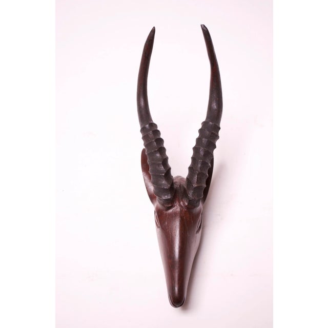 Wall-Mounted Hand-Carved Wooden Antelope Head For Sale - Image 4 of 13