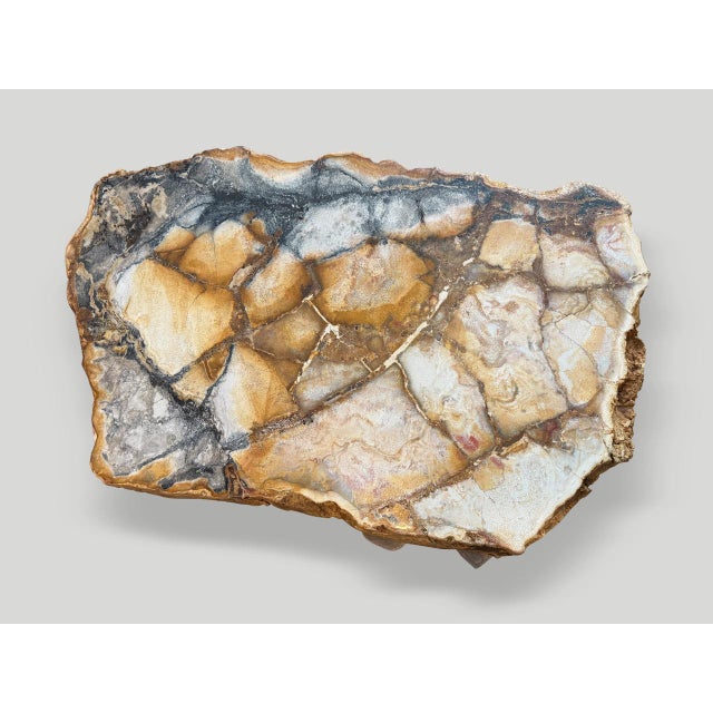Impressive single thick slab top with the most beautiful rare color tones. This petrified wood is called ‘Pancawarna’ and...