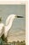 John James Audubon Snowy Heron or White Egret, Museum Style Audubon Bird Print, 24" X 36" For Sale - Image 4 of 12